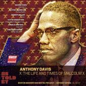 Review of DAVIS X: The Life and Times of Malcolm X