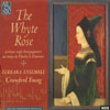 Review of (The) Whyte Rose
