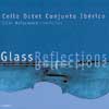 Review of Glass Reflections