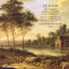 Review of Bach Violin Works, Vol 1