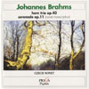 Review of Brahms Horn Trio; Serenade