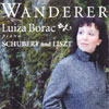 Review of Liszt Piano Works; Schubert Wanderer Fantasy