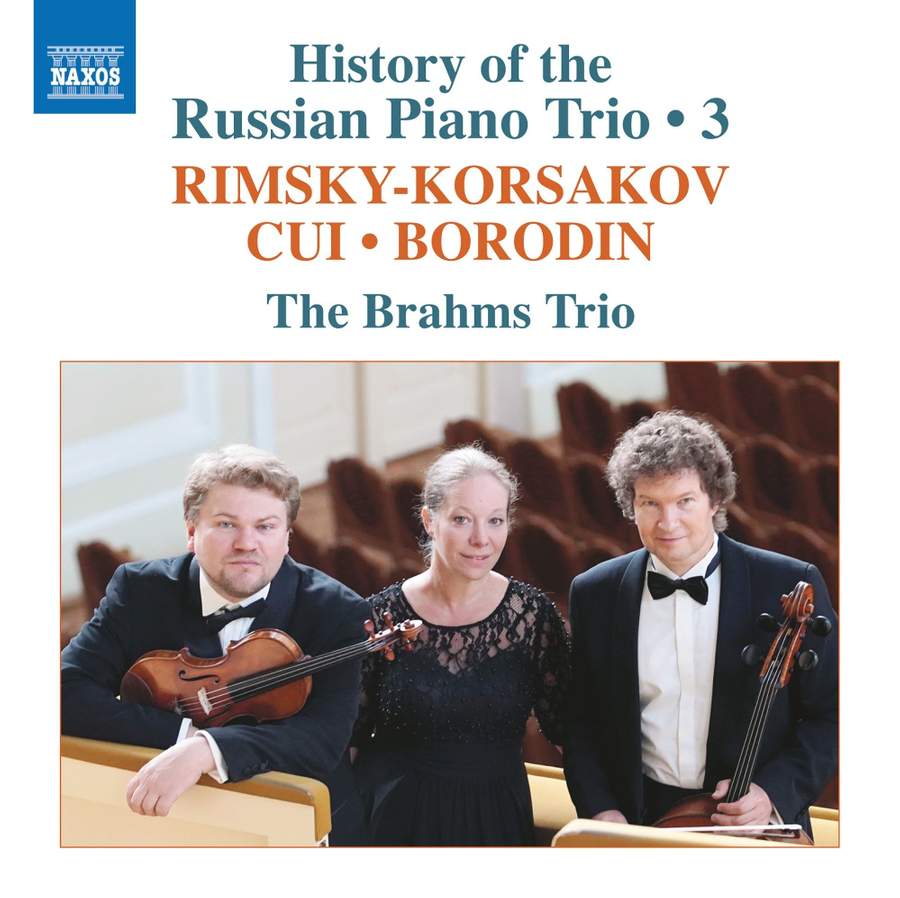 8 574114. History of the Russian Piano Trio, Vol 3 (The Brahms Trio)