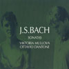 Review of Bach Violin Sonatas