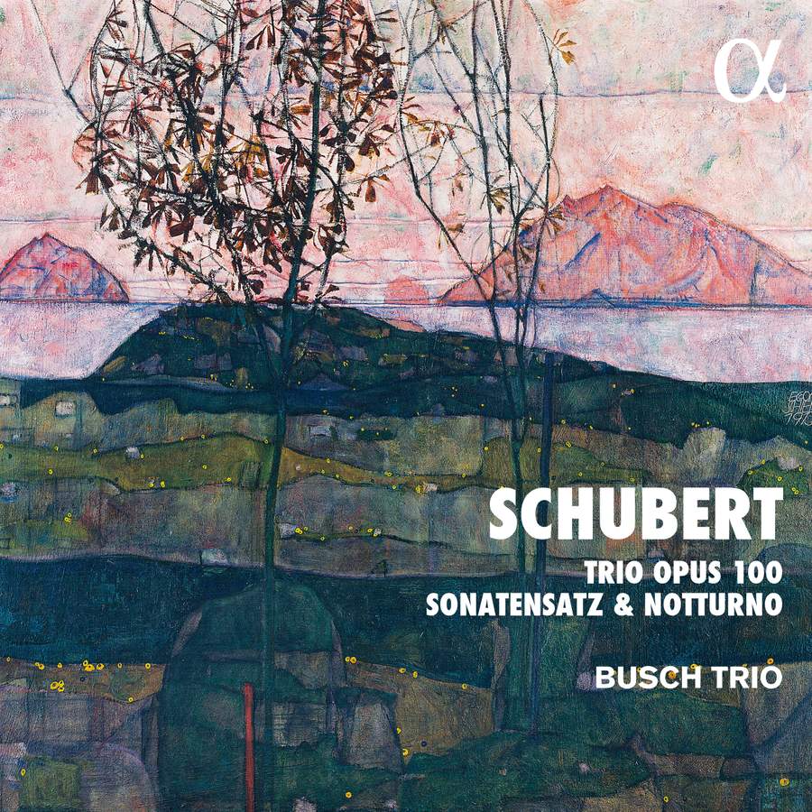 Review of SCHUBERT Trio Opus 100. Sonatensatz. Notturno (Busch Trio)