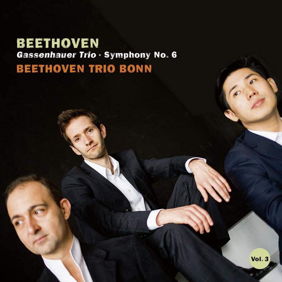 AVI8553114. BEETHOVEN Gassenhauer Trio. Symphony No 6 (Beethoven Trio Bonn)