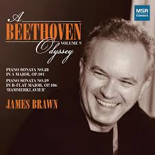 Review of BEETHOVEN Piano Sonatas Nos 28 & 29 (James Brawn)