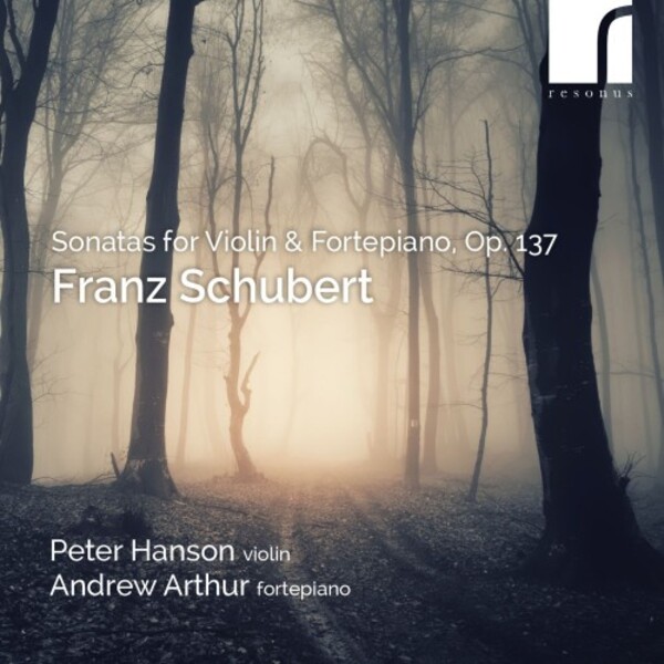 Review of SCHUBERT Violin Sonatas (Peter Hanson)