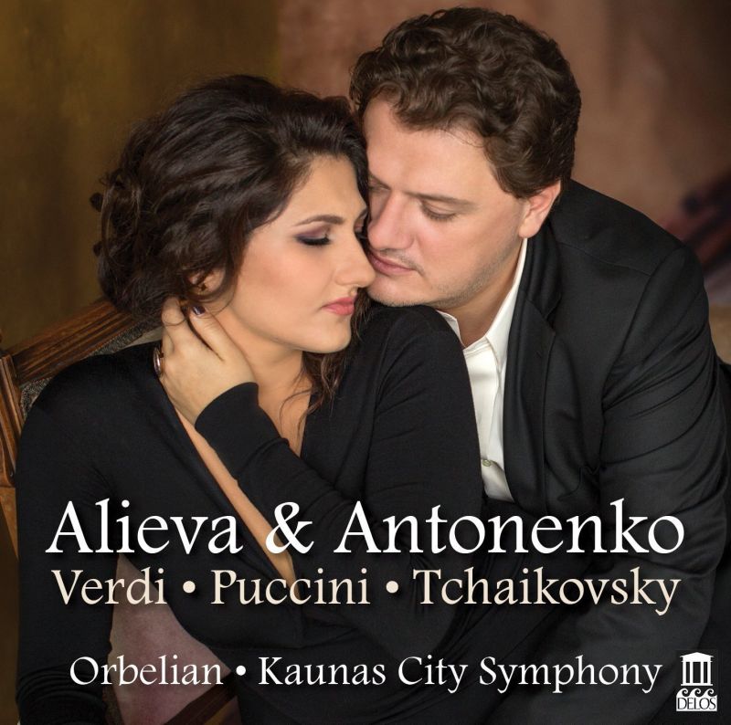 Review of Alieva and Antonenko