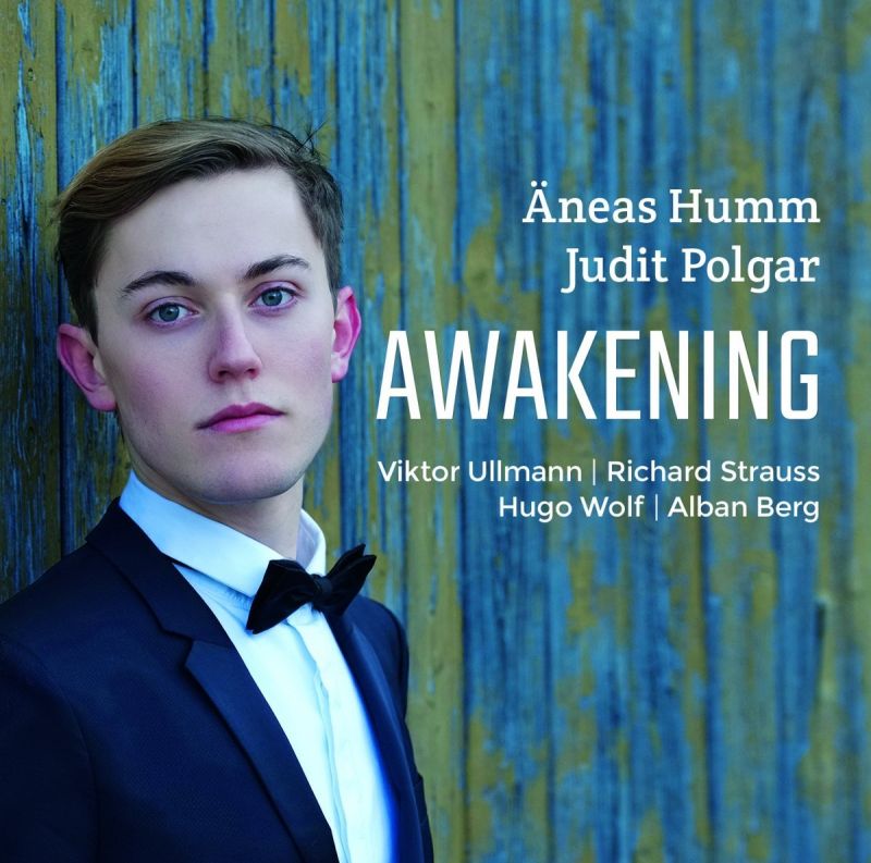 Review of Äneas Humm: Awakening