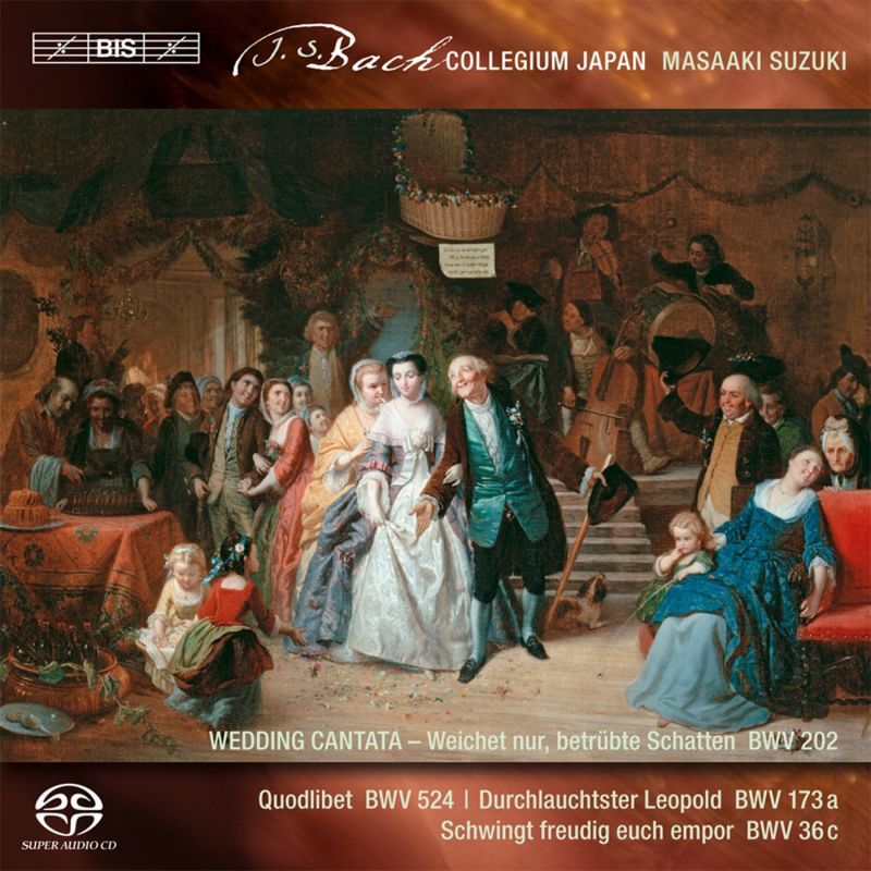 Review of JS BACH Secular Cantatas Vol 3