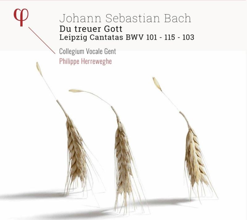 Review of JS BACH Leipzig Cantatas BWV101, 115, 103