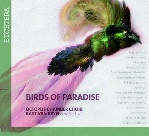 Review of Birds of Paradise