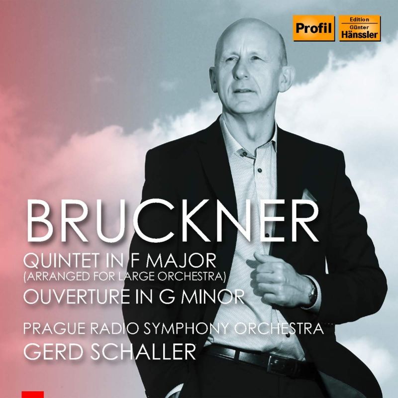 Review of BRUCKNER String Quintet. Overture (Schaller)