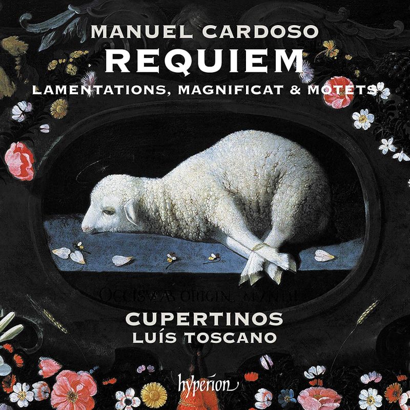 Review of CARDOSO Requiem. Magnificat (Cupertinos)