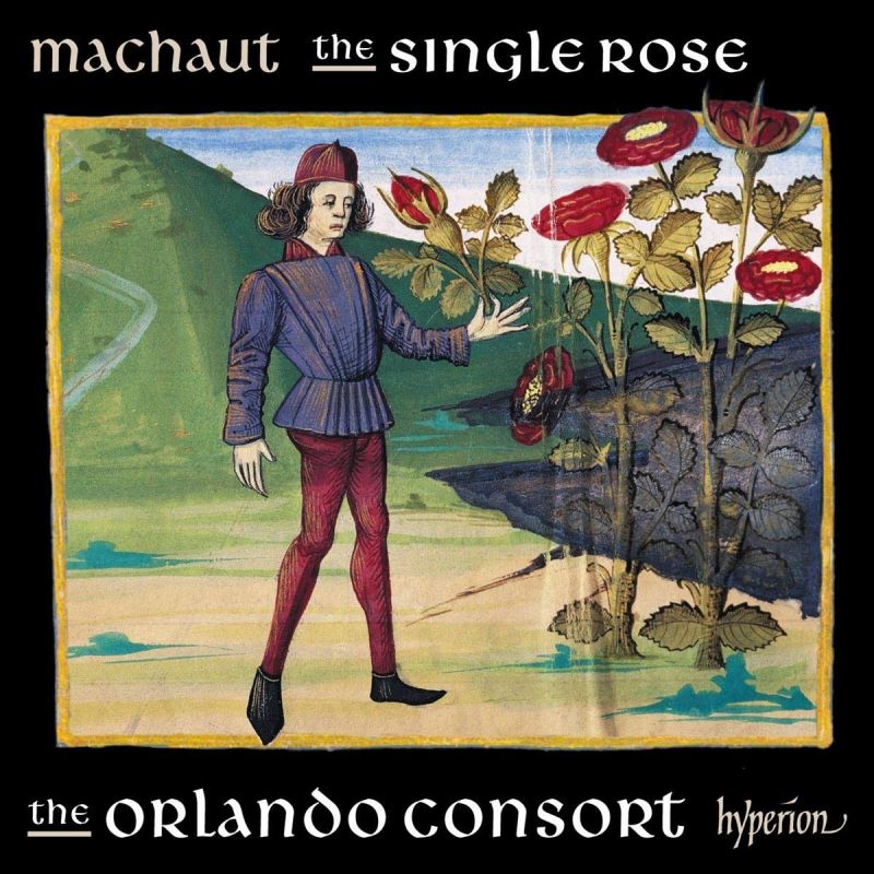 Review of MACHAUT The Single Rose