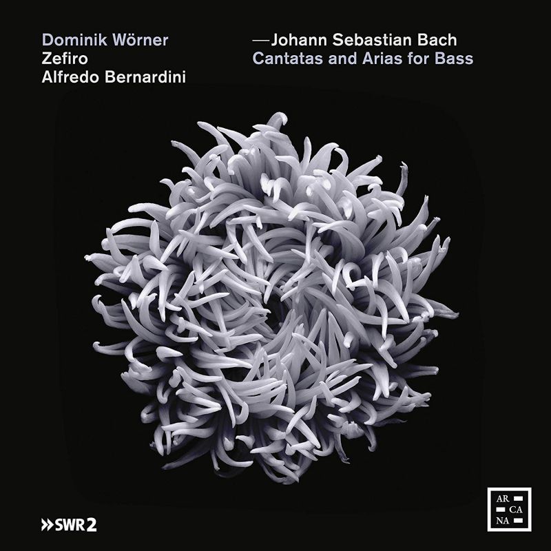 Review of JS BACH Cantatas and Arias for Bass (Dominik Wörner)