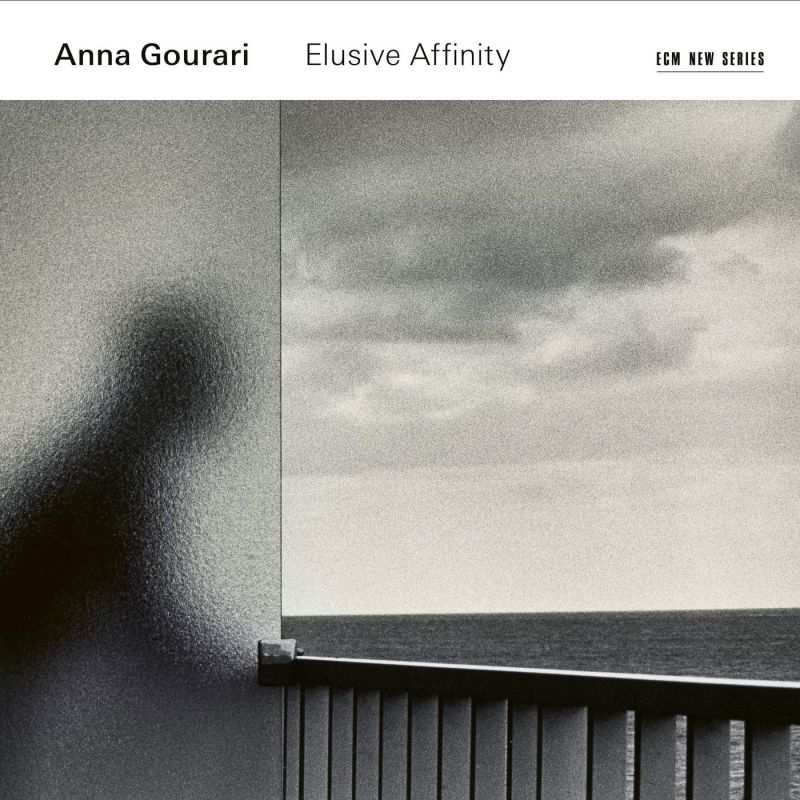 Review of Anna Gourari: Elusive Affinity