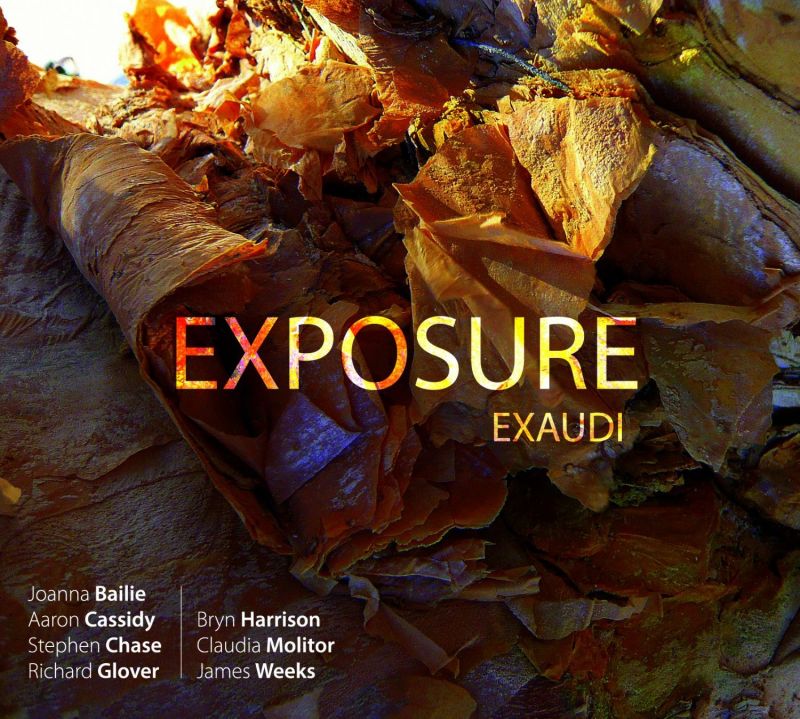 Review of Exaudi: Exposure