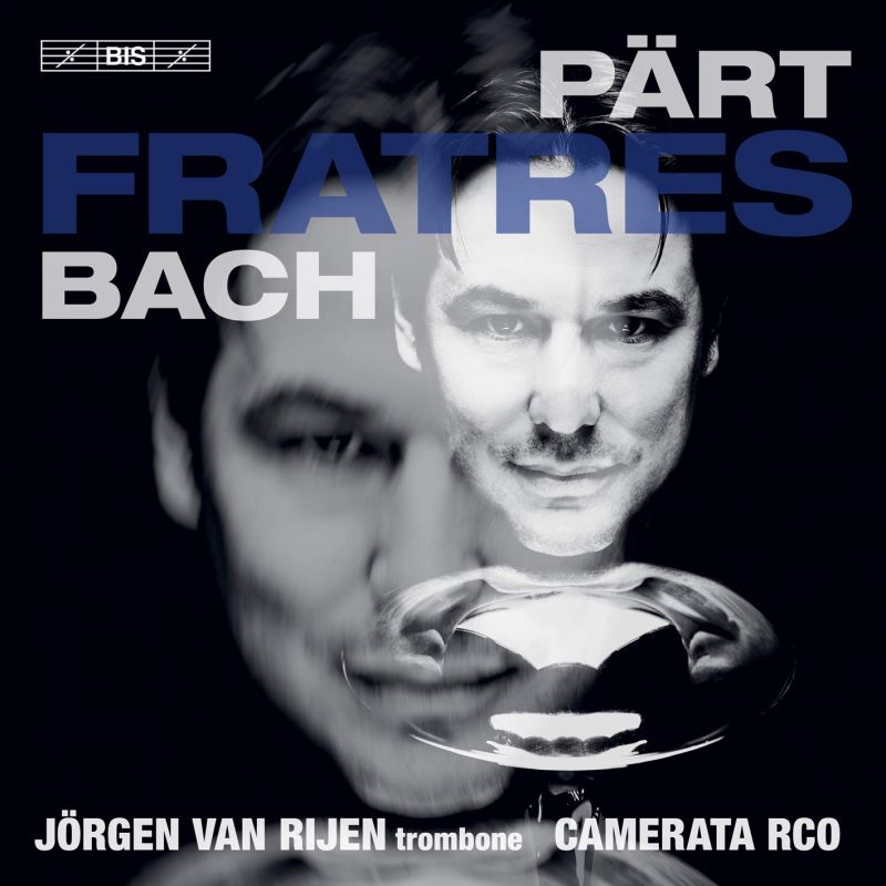 Review of Jörgen van Rijen: Fratres