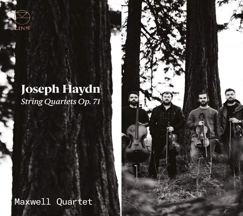 Review of HAYDN String Quartets, Op 71 (Maxwell Quartet)