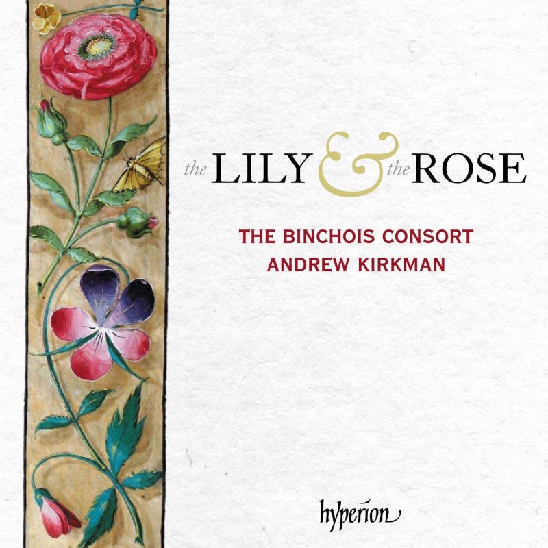 Review of The Lily & the Rose