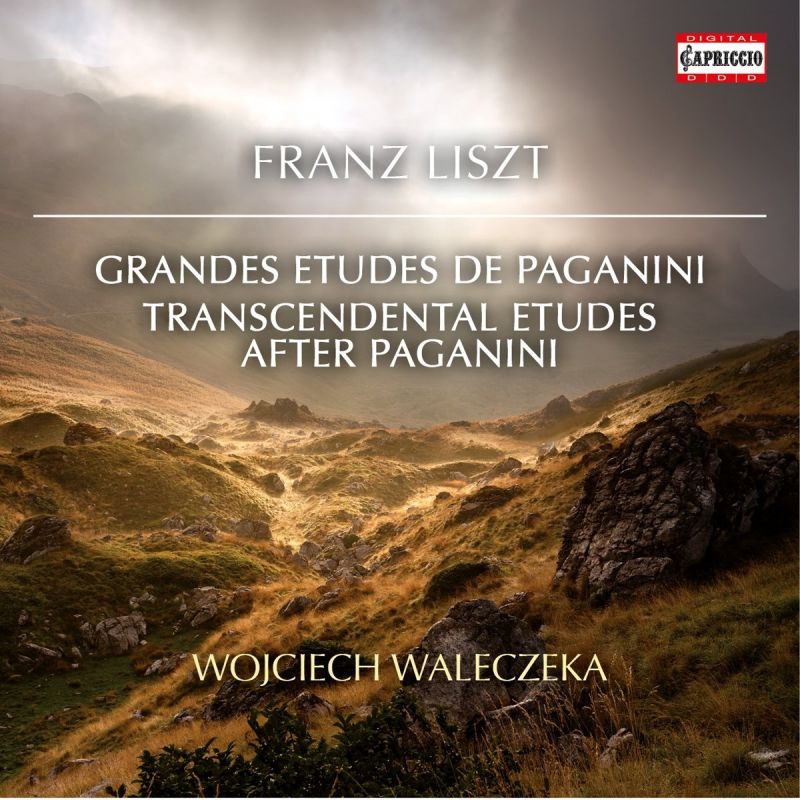 Review of LISZT Paganini Studies and Variations