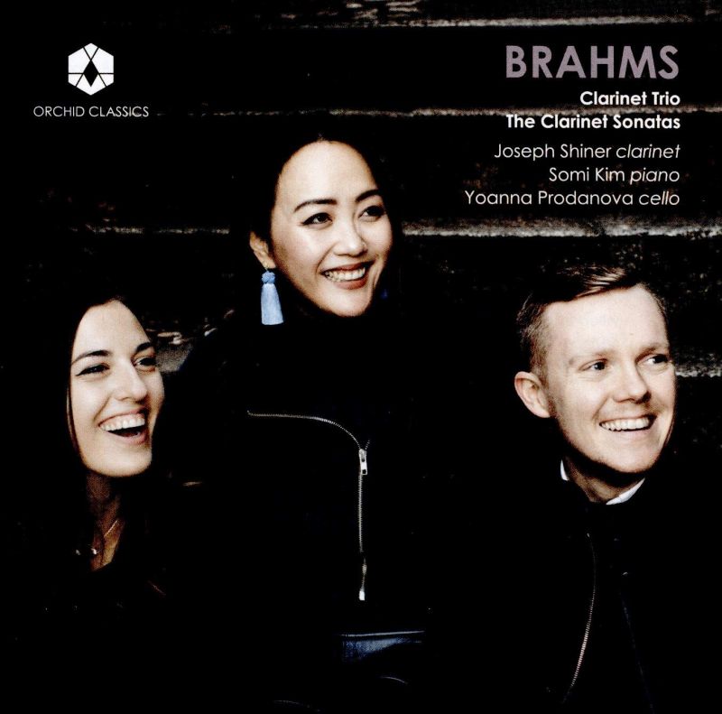 Review of BRAHMS; BRUCH; SCHUBERT Trios