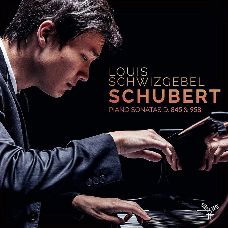 Review of SCHUBERT Piano Sonatas Nos 16 & 19