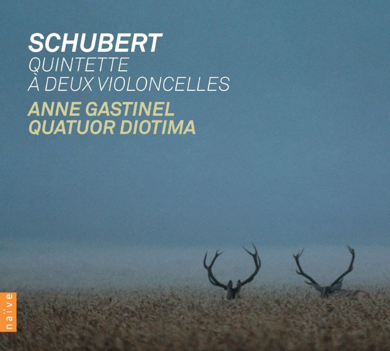 Review of SCHUBERT String Quintet