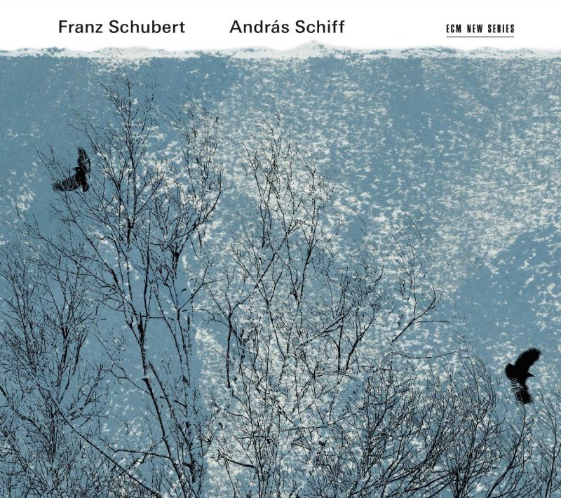 Review of SCHUBERT Sonatas, Impromptus & Moments Musicaux