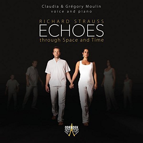 Review of Echoes Through Space and Time