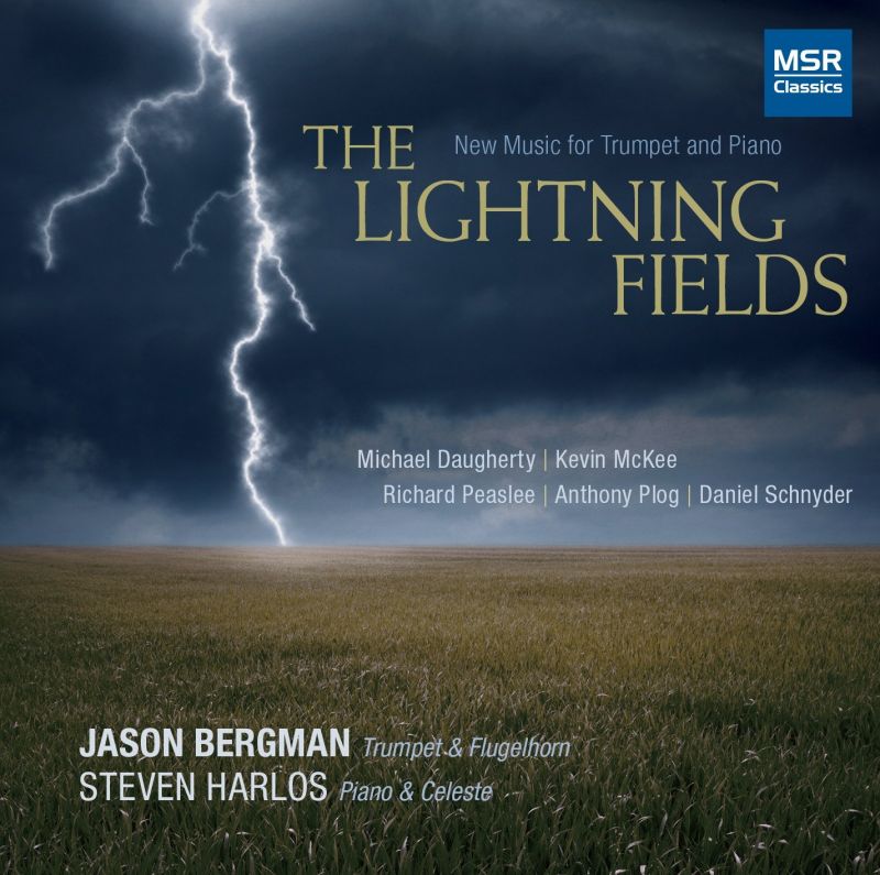 Review of The Lightning Fields