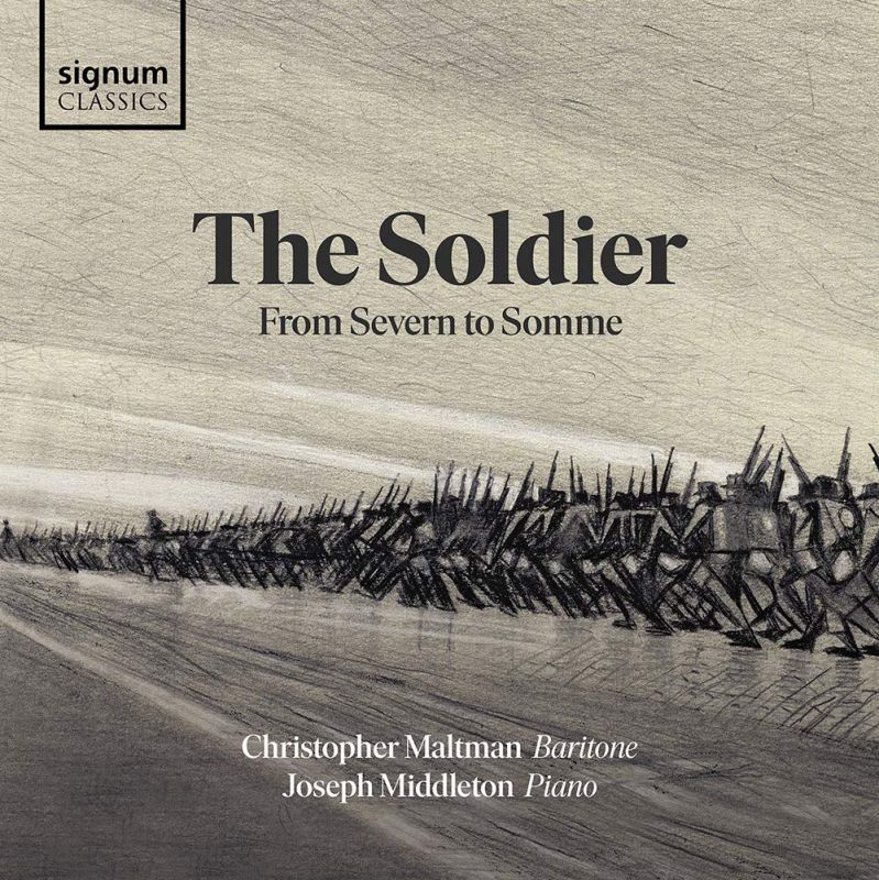 Review of The Soldier: From Severn to Somme