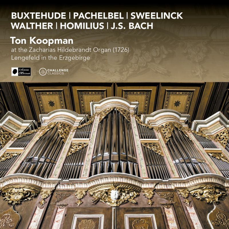 Review of Ton Koopman at the Zacharias Hildebrandt Organ