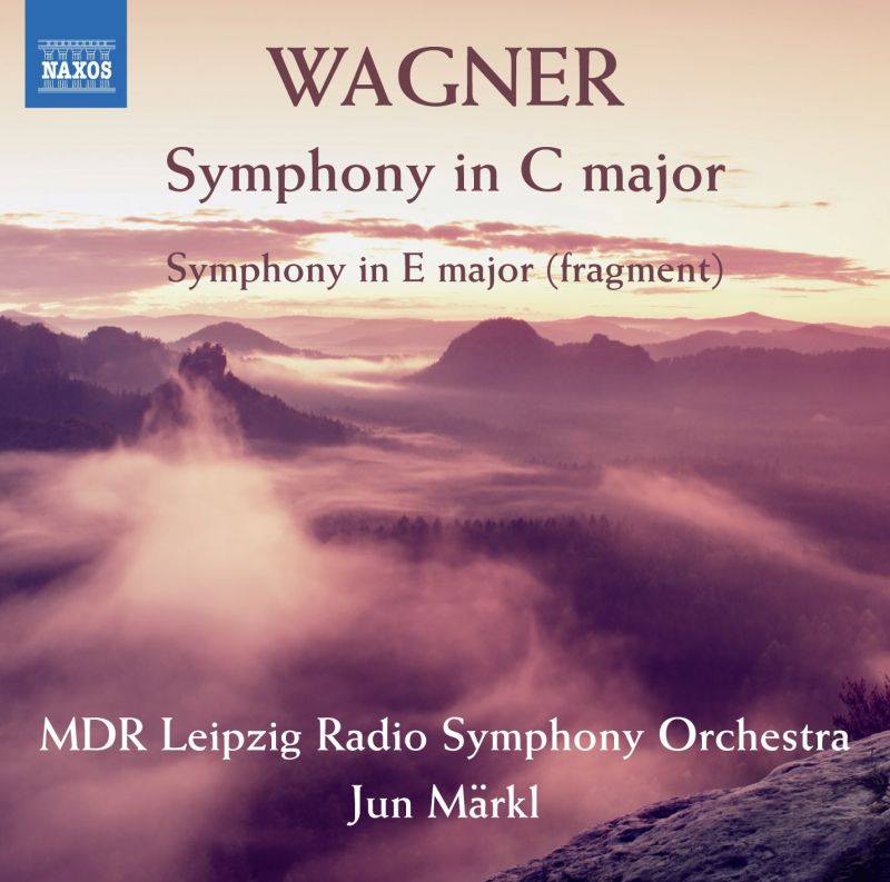 Review of WAGNER Symphony in C