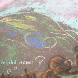 Review of Amser