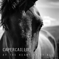Review of At the Heart of it All