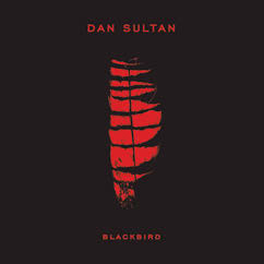 Review of Blackbird