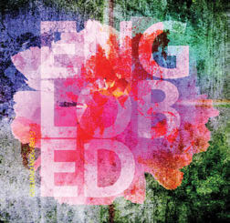 Review of Englobed