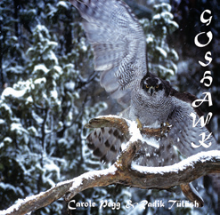 Review of Goshawk