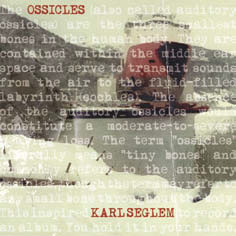 Review of Ossicles