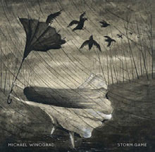 Review of Storm Game