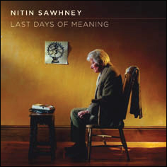 Review of Last Days of Meaning