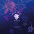 Review of Nightshade