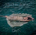 Review of Riva