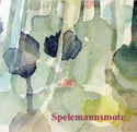Review of Spelemannsmøte