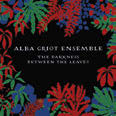 Review of The Darkness Between the Leaves