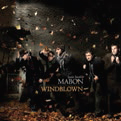 Review of Windblown