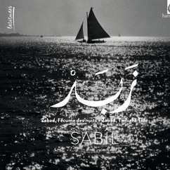 Review of Zabad, Twilight Tide